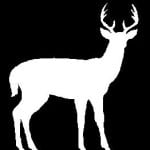 MyVeronaNJ-Deer-Hunt
