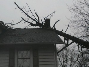 A tree came to rest on top of the Noyes' family's home