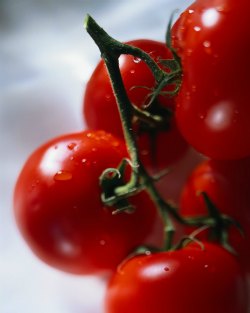 MyVeronaNJ-Cherry-Tomatoes