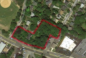 The project covers an irregularly shaped area that was created from two properties. Almost all of the trees now there would be cut down if the project is approved.
