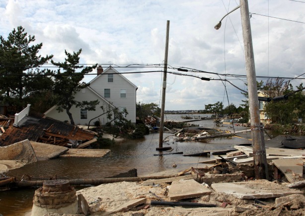 Hurricane Sandy hurt the Jersey Shore badly, but Beth Shorten thinks something else is killing it.