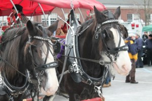 Horse-drawn wagon rides will be returning to this year's Fair in the Square