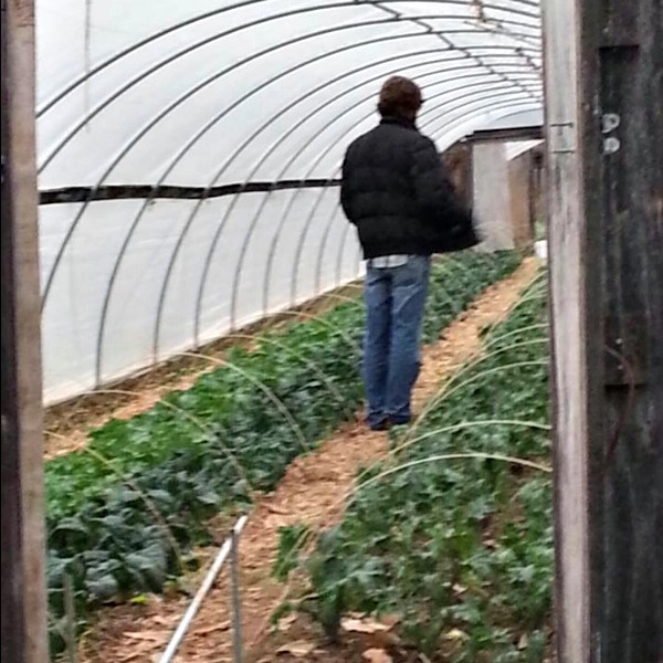 Lucas Freschi in the greenhouse at Warren Wilson College, which he will be attending in the fall.