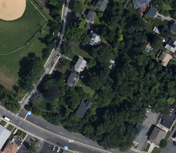All of the trees and all of the soil and rock now on lots 176 and 200 Bloomfield Avenue would be removed if the DMH2 development is approved