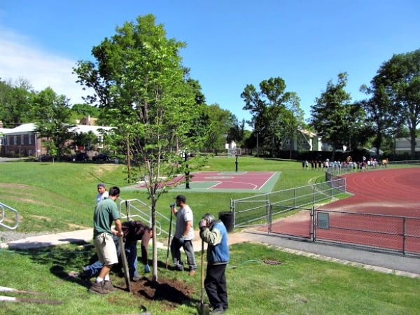 HBW's Beautification Committee has added six trees to school grounds in recent years