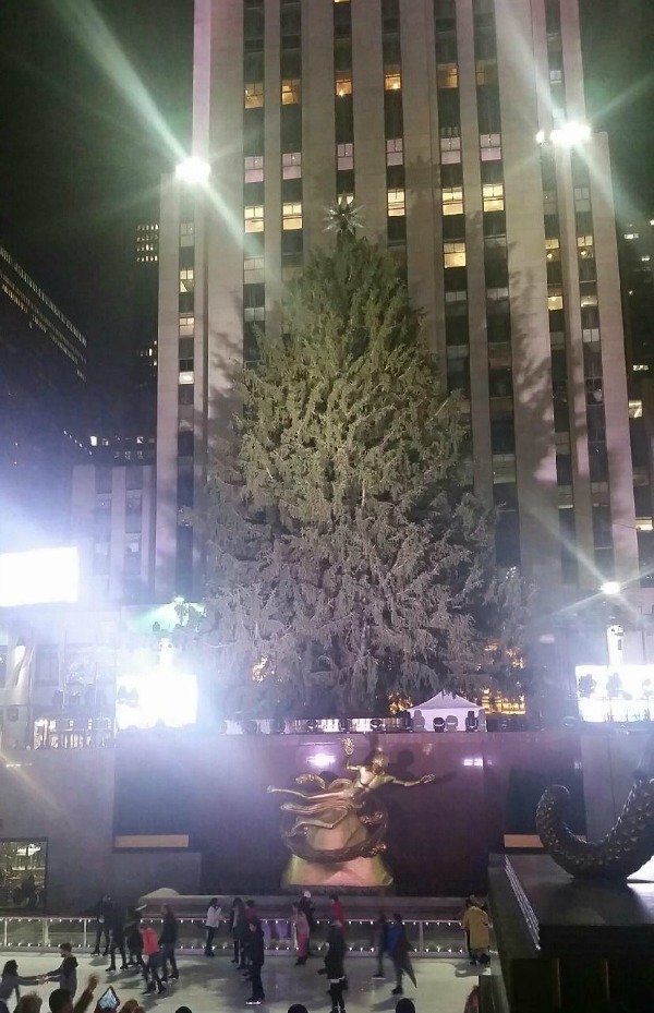The tree before its December 3 lighting.