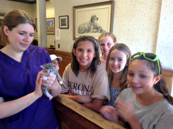 The Girl Scouts donated all their home-made pet toys to Cameron Animal Hospital in Montclair.