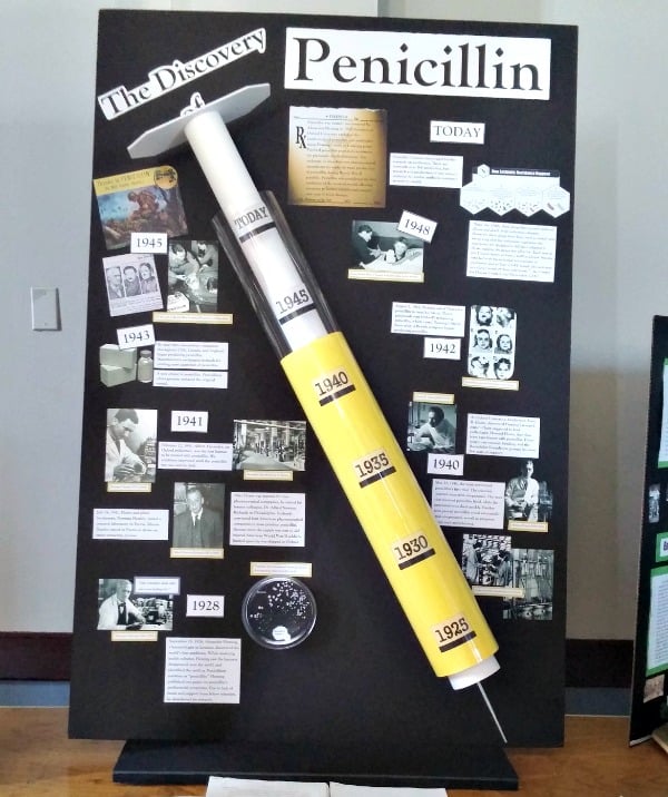 The winning group exhibit on penicillin by Chloe Mathewson and Gigi Petti.