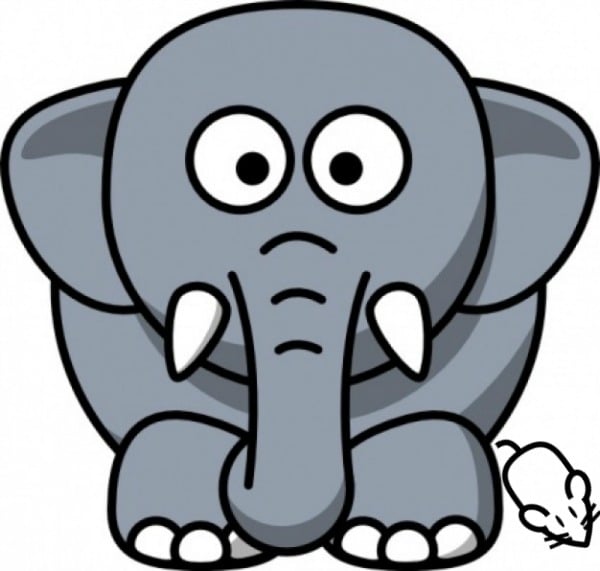 elephant-mouse
